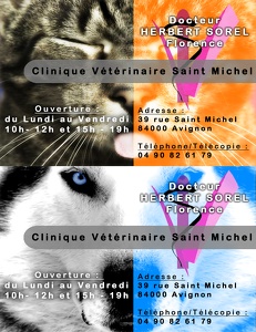 Cartes de visites 2010 - Clinique Vétérinaire Saint-Michel