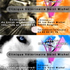 Cartes de visites 2010 - Clinique Vétérinaire Saint-Michel