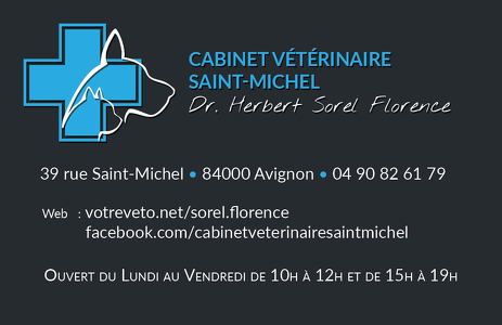 Cartes de visite 2017 - Clinique Vétérinaire Saint-Michel